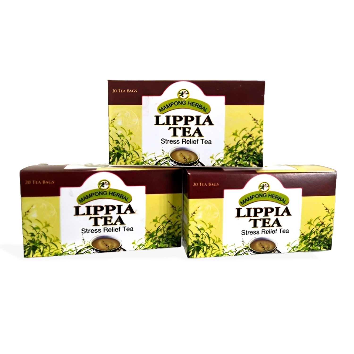 CPMR LIPPIA TEA